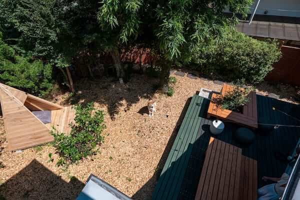 ペットと泊まれるエアビー 伊豆：施設イメージ