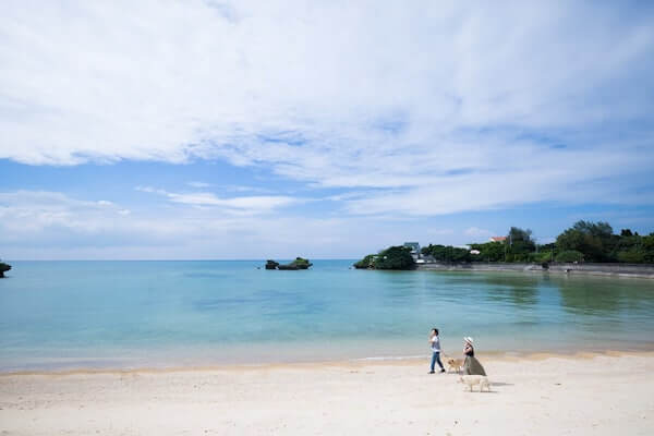 ペットと泊まれるエアビー 沖縄：施設イメージ
