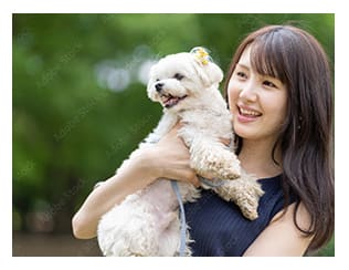 魅力あふれるまち、大阪へ イメージ2