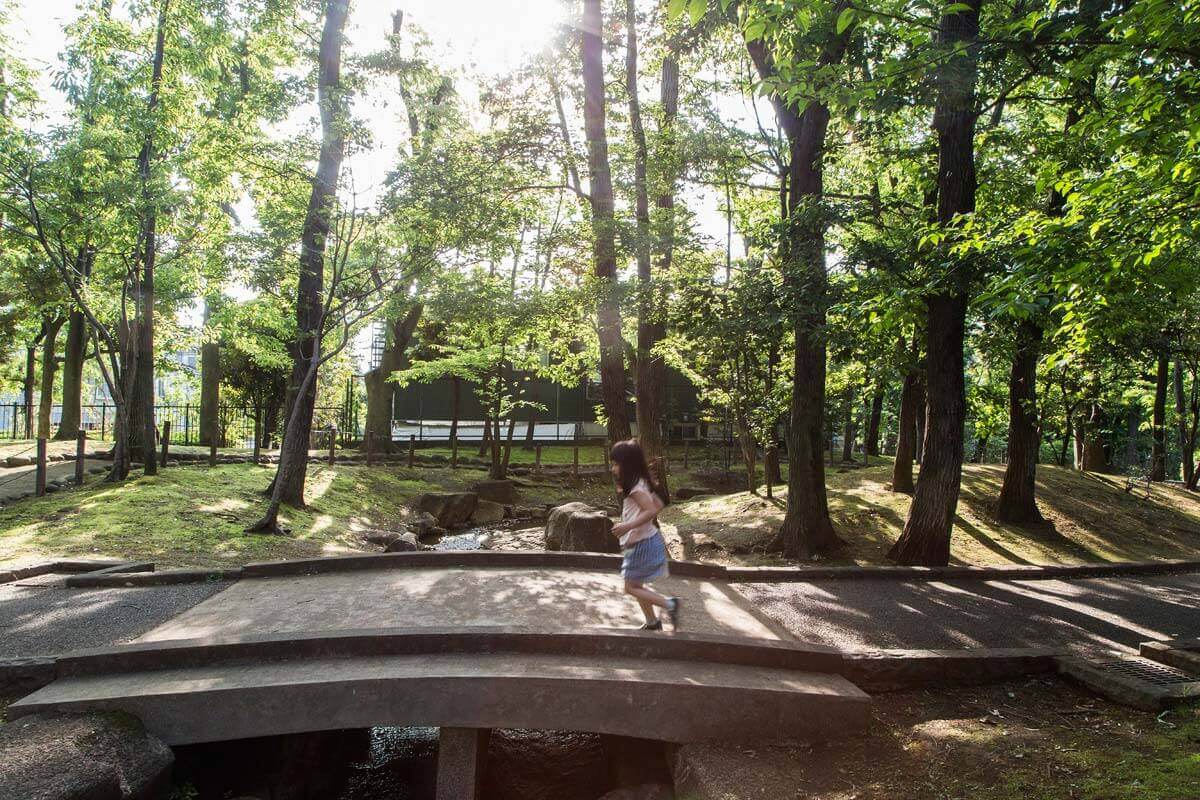 周囲を緑豊かな公園が囲んでいるTaekoさんのリスティング