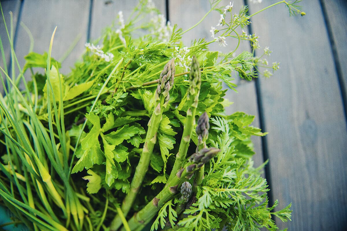 アスパラやほうれん草など、川村さんのオーガニック野菜