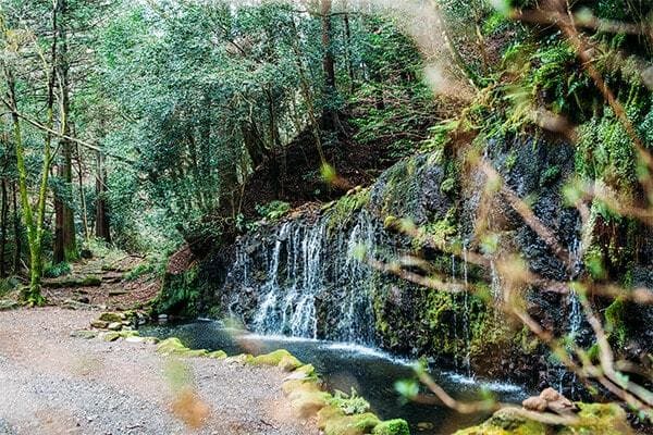 千条(ちすじ)の滝
