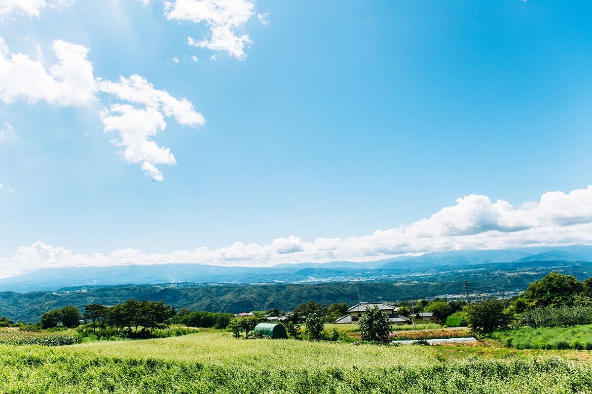 丘の中腹にある青雲館から少しだけ上に登って行くと、浅間山や四阿山などを臨める、穏やかな景色が目の前に広がる。小諸が誇る、とっておきの財産だ。ワイン畑と雲海と天空との出会いの先にあるものとは……。