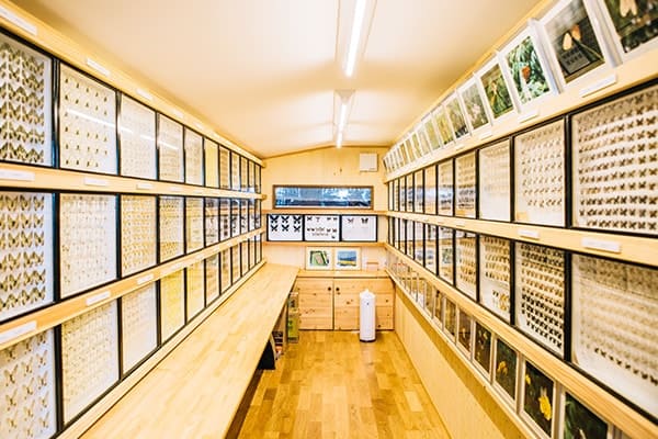 MIYASAKA FARM 蝶の博物館