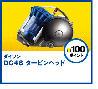 T|Cg100|Cg_C\DC48^[rwbh