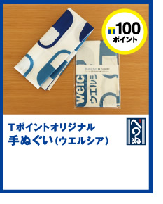 T|Cg100|CgT|CgIWiʂiEGVAj