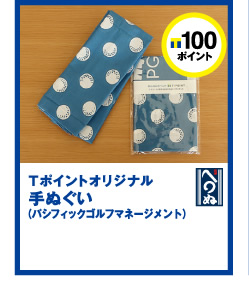 T|Cg100|CgT|CgIWiʂipVtBbNSt}l[Wgj