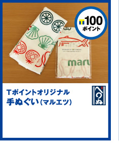 T|Cg100|CgT|CgIWiʂi}Gcj