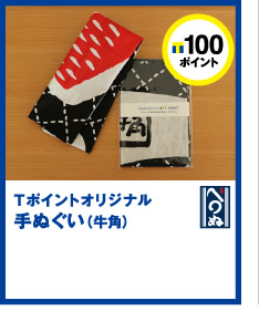 T|Cg100|CgT|CgIWiʂipj