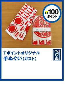 T|Cg100|CgT|CgIWiʂiKXgj