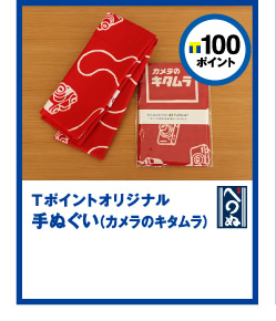 T|Cg100|CgT|CgIWiʂiJ̃L^j