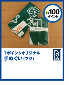 T|Cg100|CgT|CgIWiʂitWj