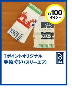 T|Cg100|CgT|CgIWiʂiX[Gtj