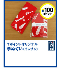 T|Cg100|CgT|CgIWiʂiCuj