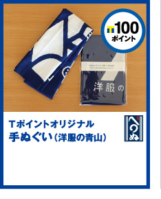 T|Cg100|CgT|CgIWiʂim̐Rj