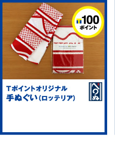 T|Cg100|CgT|CgIWiʂibeAj