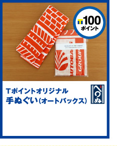 T|Cg100|CgT|CgIWiʂiI[gobNXj