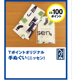 T|Cg100|CgT|CgIWiʂijbZj