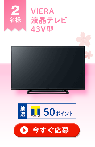 VIERA �t���e���r 43V�^