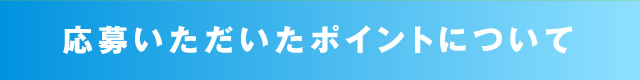 応募いただいたポイントについて
