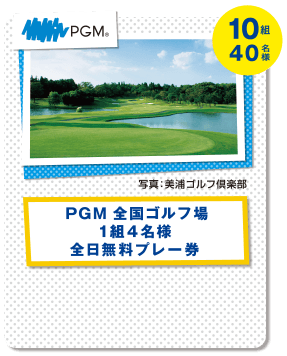 PGM ʐ^FYSty PGM SSt 1g4l Sv[ 10g40l