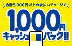 1,000$B1_%-%c%C%7%e%P%C%/!*(J