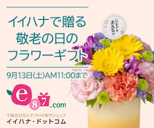 e87.com