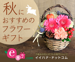 e87.com