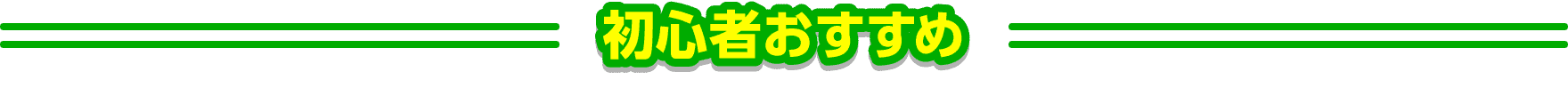 初心者おすすめ