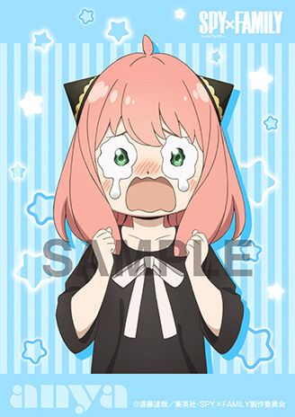 Vキセカエ詳細 | Vポイントサイト