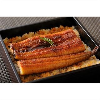 大和養魚 浜名湖うなぎ蒲焼