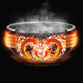 ティファール ザ・ライス 遠赤外線3DIH炊飯器 5.5合 シルバー