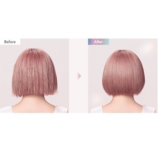 SALONIA グロッシーケアドライヤー | V景品交換