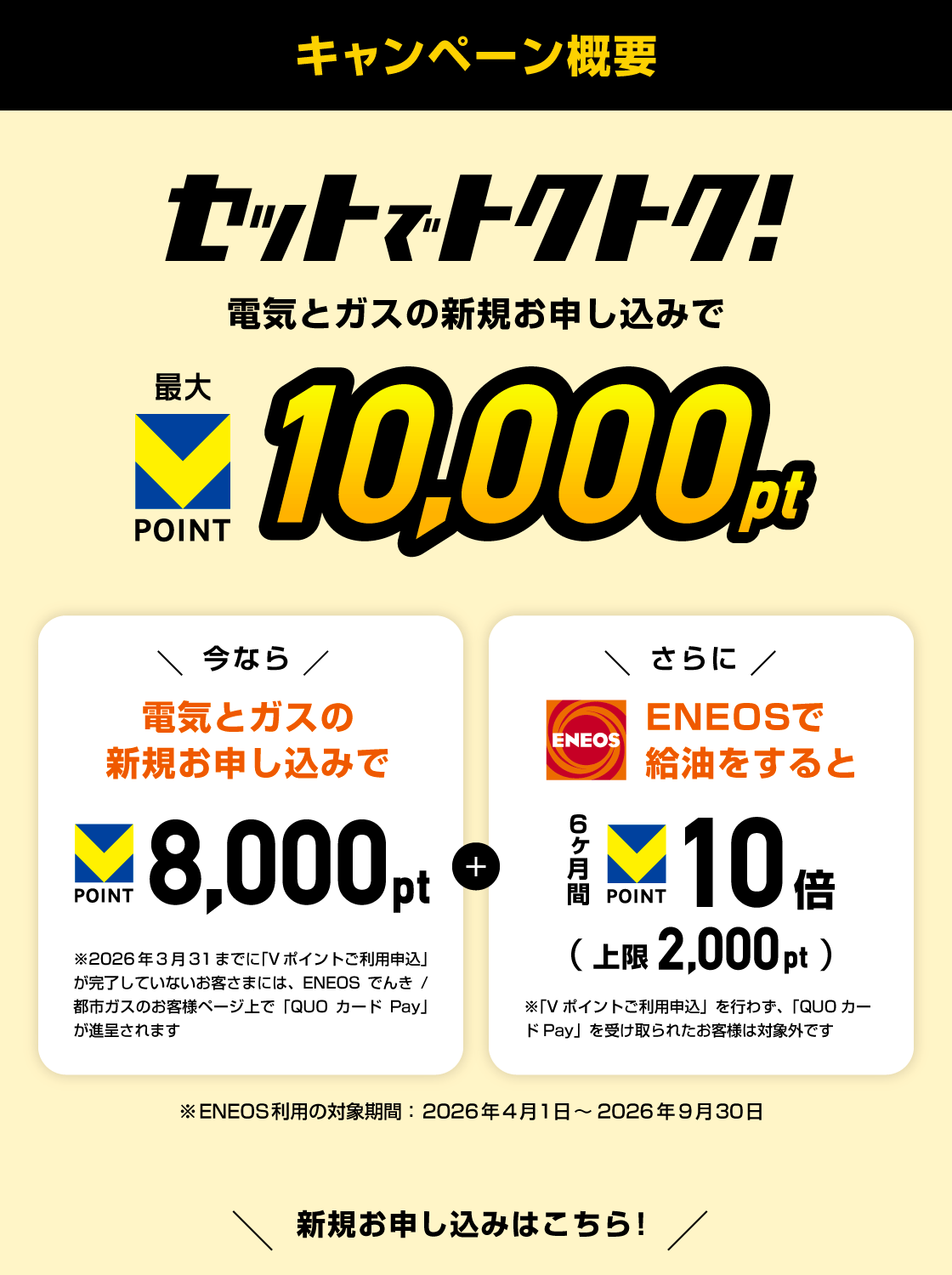 キャンペーン概要